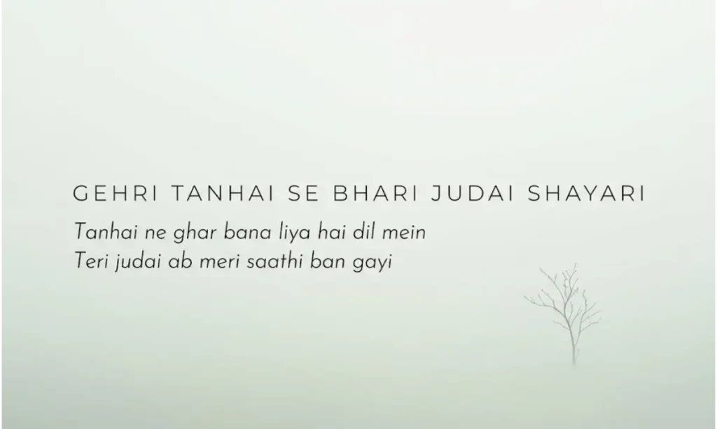 Gehri Tanhai Se Bhari Judai Shayari